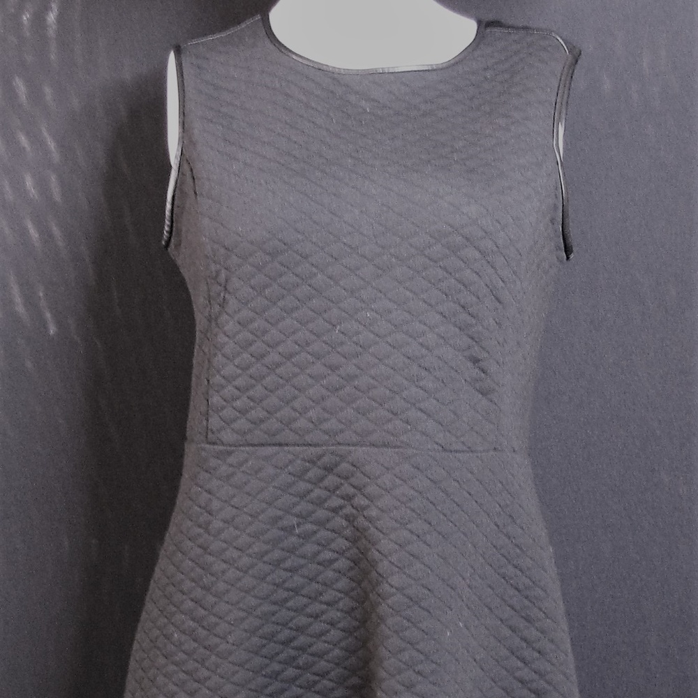 Anne Tailor LOFT Dress